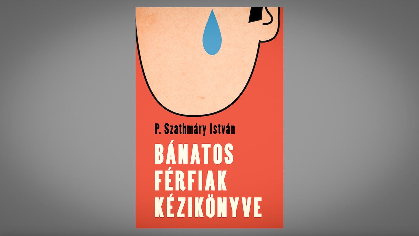 Búcsú a rejtőzködéstől Kép